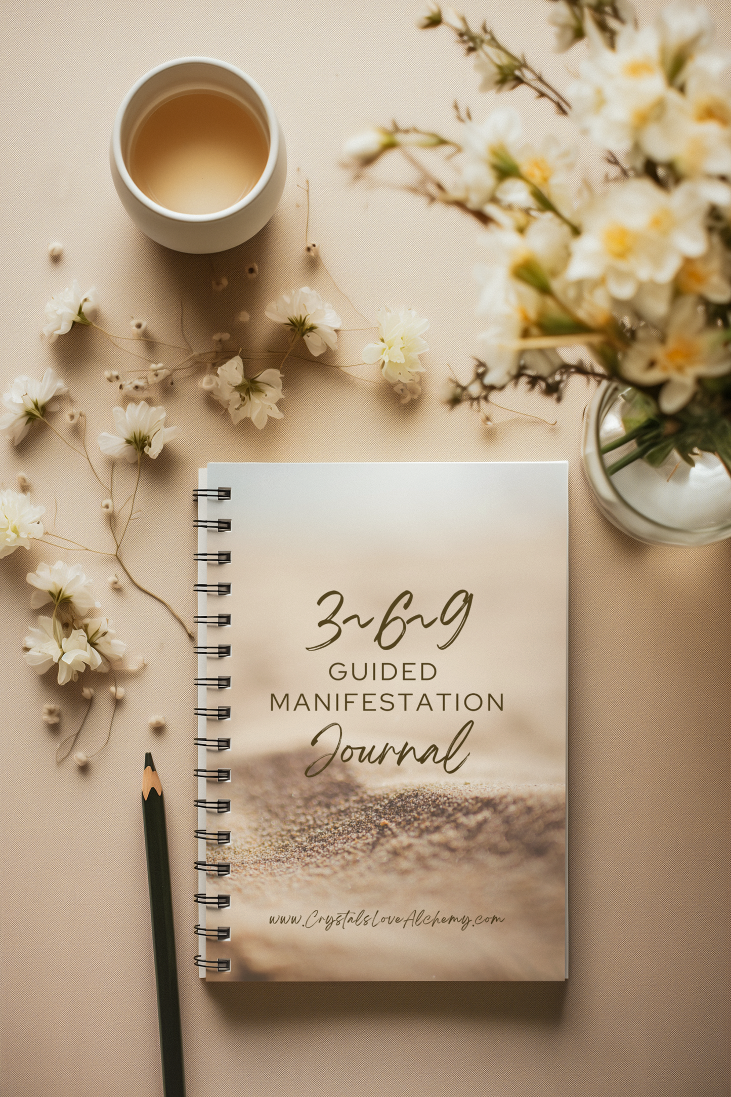 369 Guided Manifestation Journal