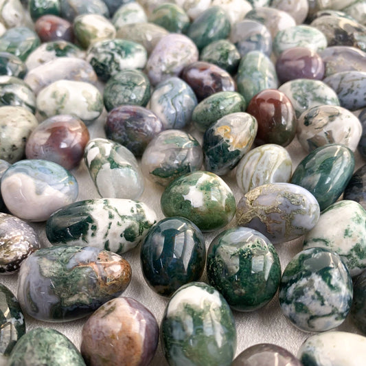 Moss Agate Pocket Gem | Growth & Prosperity Stone